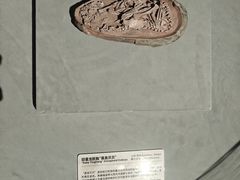-厦门诚毅自然探索馆