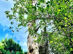 -昆明市金殿名胜区