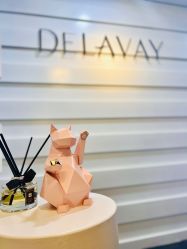 -DELAVAY黛乐薇抗衰中心