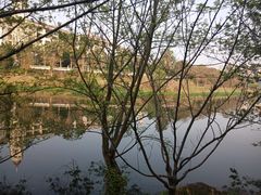 -重庆长寿碧桂园凤悦凤凰酒店