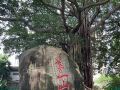 -乌山风景区