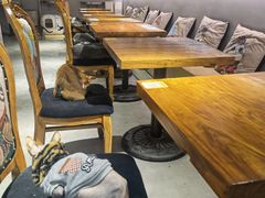 -more than meow吴止猫主题餐厅(承德 中船汇店)