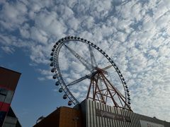 -石狮世茂摩天城摩天轮