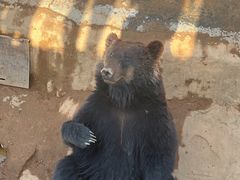 -泉州海丝野生动物世界