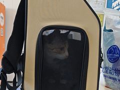 -芭比堂动物医院·CT·微创中心(新顺分院)