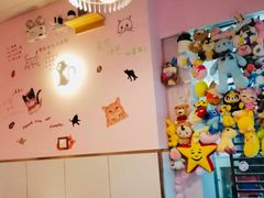-三花喵·撸猫购宠·宠物生活馆(虹桥南丰城店)
