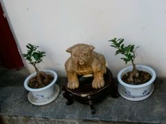 -悦真雅院·四合院·清真私房菜(雍和宫店)