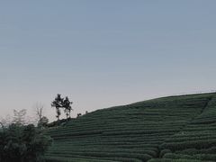 -侘山民宿(杭州西湖龙坞店)