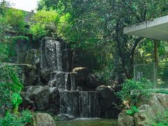 -广州市白云山风景名胜区