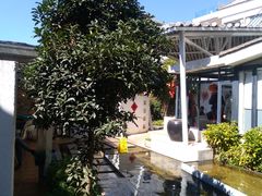 -大理老字号·舟渔的鱼野生菌海景餐厅(双廊店)
