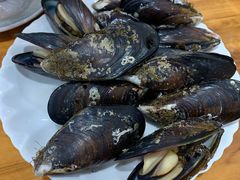 清蒸贻贝-食海部落