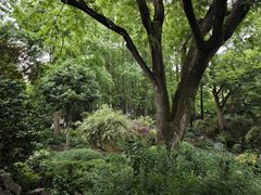 -上海醉白池公园