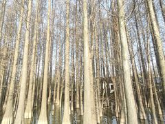 -采石矶景区