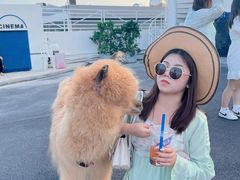 -Blue Concept Cafe&Farm·關於藍