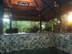 -三亚珠江南田温泉度假区