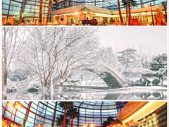 -春晖园度假酒店温泉