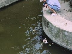 -紫金山山顶公园