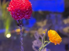 -九献创意菜·牛排馆(亮马河花园店)