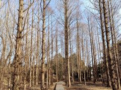 -国家植物园南园