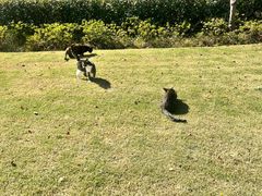 -昆山城市生态森林公园