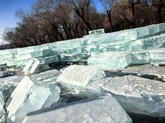 -长春市南湖公园