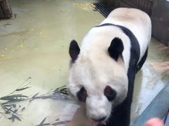 -瓯越轩(新希望立体城购物中心店)