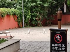 -白帝城·瞿塘峡景区
