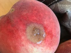 -昆明东站水果交易市场