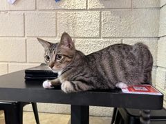 -逃脱反斗城沉浸剧情密室(北京路店)