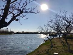 -呈贡滇池生态湿地公园