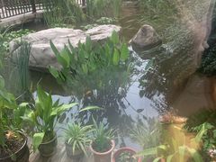 -聚缘堂·海鲜私房菜(松岭路店)