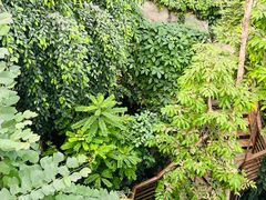 -郑州植物园