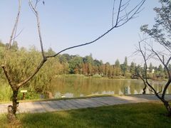 -常德桃花源景区