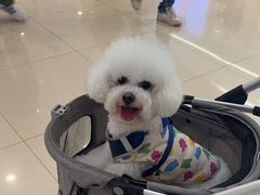 -星巴克臻选(嘉兴海宁银泰城店)