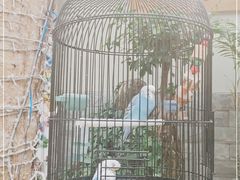 -丽江庭院之丽江往事(安定门店)