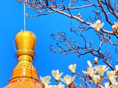 -潭柘寺景区