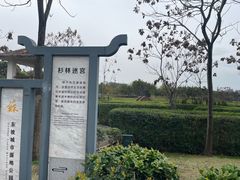 -眉山湿地公园(东坡区)