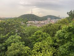 -佛山华盖山公园