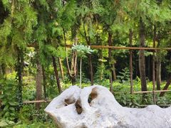 -西安大兴善寺