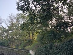 -宁波市保国寺古建筑博物馆