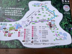 -野象谷景区
