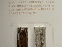 -安徽博物院新馆