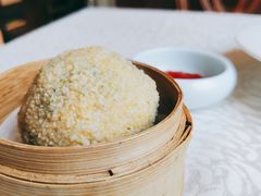 菜团子-旺顺阁海鲜广场(亚运村店)