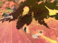 -丹东天桥沟景区