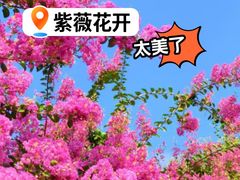 -杭州城北体育公园