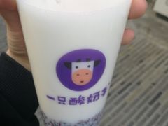-一只酸奶牛(奎星楼店)