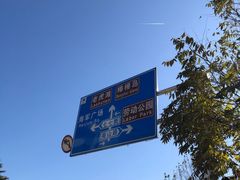-子霖南山鲜虾面(南山总店)