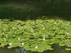 -长白岛森林公园