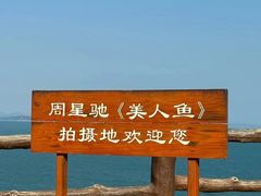 -杨梅坑