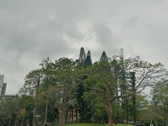 -四海公园(南山区)